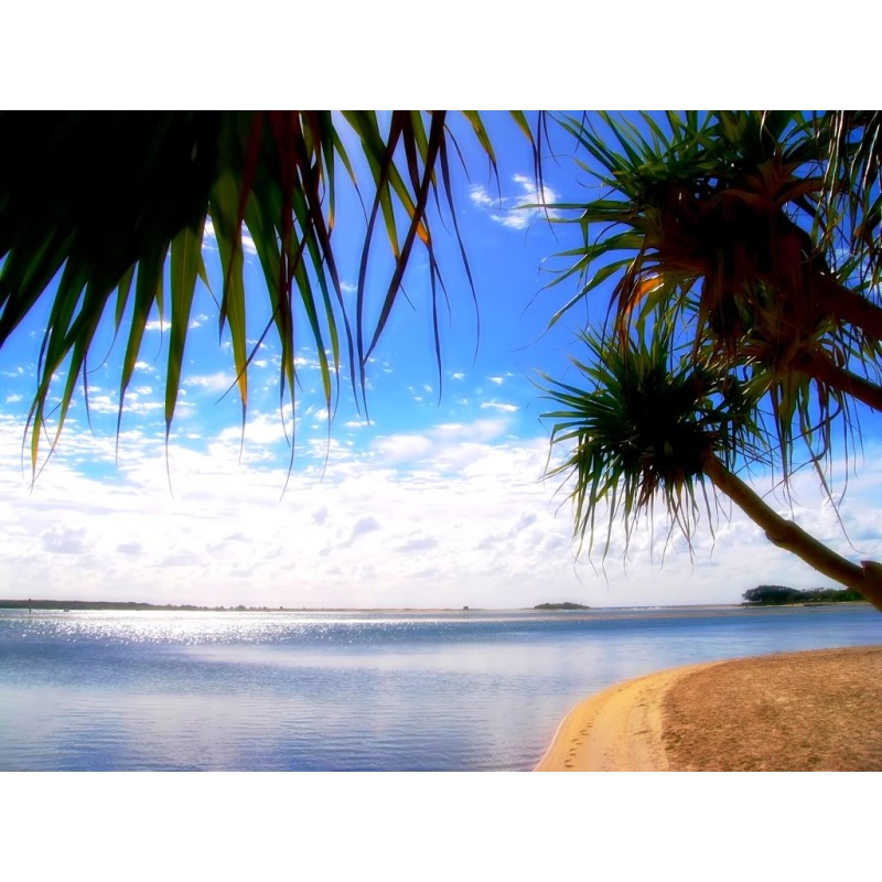 Instant Vacation