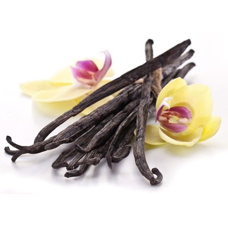 JASMINE VANILLA