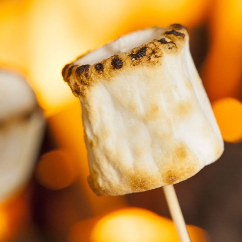 TOASTED MARSHMALLOW
